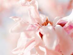 [설새봄]……이제, 내가 싫어졌지?