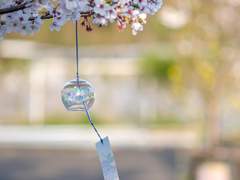 사네카나 썰 백업 8