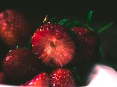 [찬오새봄]경단 한 입