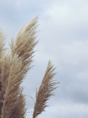 너에게 부는 바람