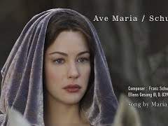 인간에 의한 구명