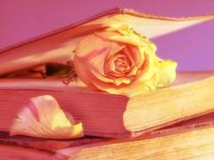 꿈현커 마야 18 XY