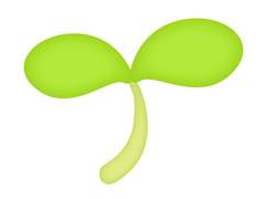 핑크머리를 하리라..