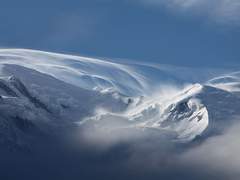 겨울의 탄생은 여름