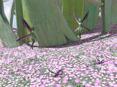 [What’s in a Name]