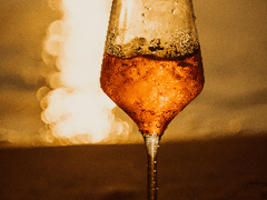 태양에 닿도록 下