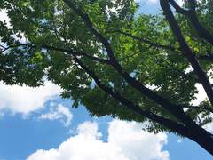 우리의 사랑은 여름이었지