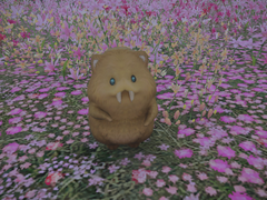 [The Forbidden Lran]