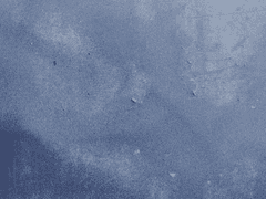 기억의 파편들.