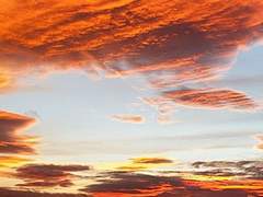 [채꿍] 카코토피아 5