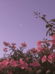 [스나오사] 은신처.