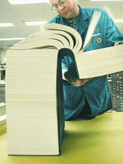 앙스타 일러에 대한 탐구