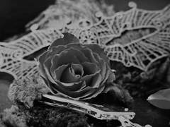 향수에 젖어드는 사랑