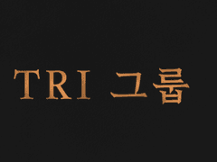 TRI 그룹 참여후기