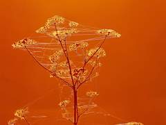 로그 6번: '상실'