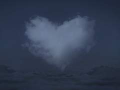 [ 전리농 ] 우리 매년 속초 가자