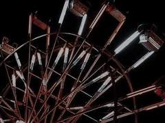 FOREVER LAND 포에버 랜드