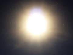 Ravi｜라비, 실험 연구원