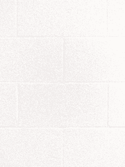 다이아몬드 에이스