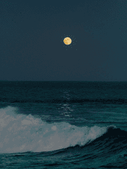 바다에 휩쓸려 나온 파도 조각들