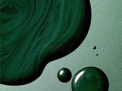 Whiskey Rainy Forest 中