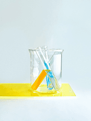 수석님의 연구일지