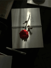 엘로이 R. 메레디스