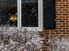 사계절의 이야기