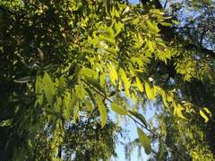 수진은 빵을 먹었다