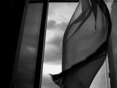 너에게 닿지 못 할 편지