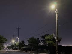 내게 그 늦봄은 네가 되었다