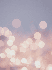 빔 자캐(드림포함)