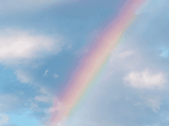 토리메카 썰 백업 2