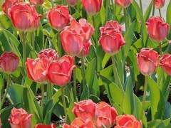 웹으로 보실 수 있어용