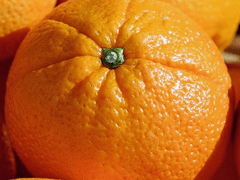 히나른 모음집 5