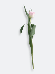 [전정국] 꽃이 말을 한다 完