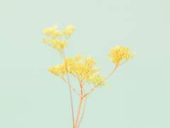 쉬어가기로 했습니다 16