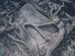 [고죠게토] 백귀야행百鬼夜行