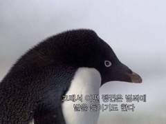 [하이큐 드림] 져지 좀 빌려줘