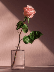 [준세]우리가 사랑한 사이