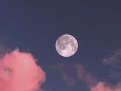 호호열전虎狐熱戰- 外, fin