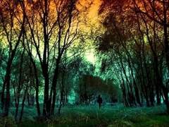 짙은 숲속의 귀신,