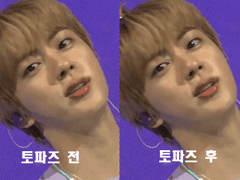 4.토파즈 설치/사용 방법