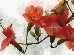 능소화 피는 계절 第1章