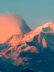 슬기로운 의사생활