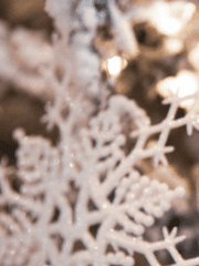 좋아하는 노래 포스팅