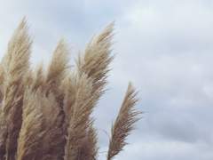 재회를 발음하기 위한 이별