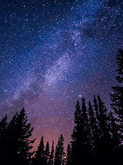 로데오 날조 썰