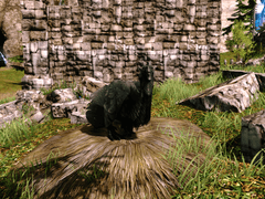 [Pushy for Patronage]