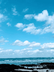 Y.D.S.L.V. (잠시 휴재)